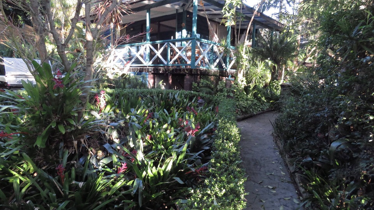 Sydney House | Seaside Tropical SanctuarynLovely coastal home with glorious, tropical garden.n