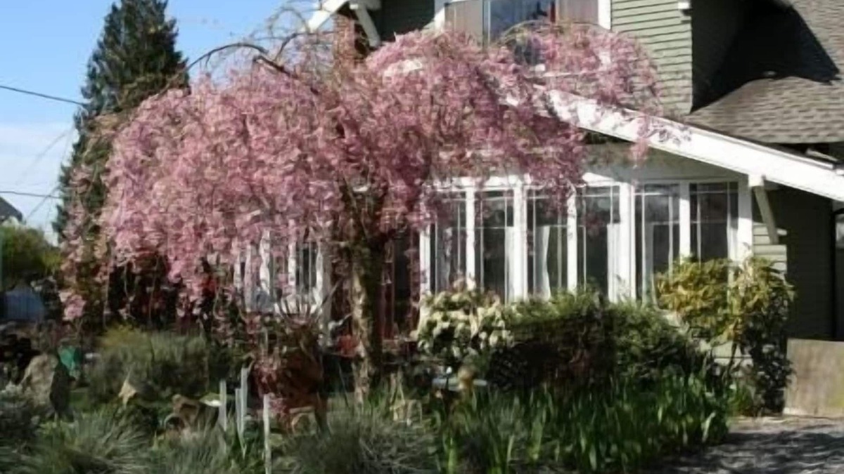 Wallingford Apartment | Seattle at its Best - the Premiere Walking Neighborhood!