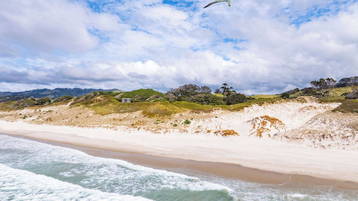 Pakiri House | Seaview and Pohutukawa - Pakiri Beach Retreat