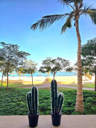 Bab Al Bahr Apartment | Seaview Escape Family Two-Room Apartment with Seaview