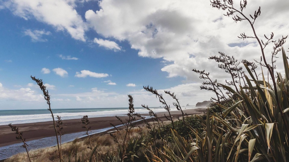 Oakura House | SEAVIEWS ON SHEARER OAKURA