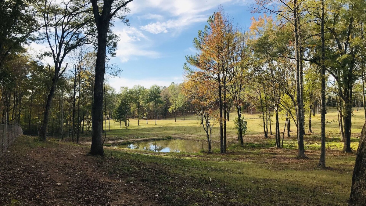 Royal Other | Secluded and Peaceful Ranch House