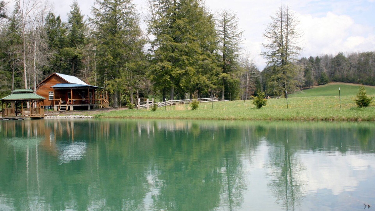 Muddy Pond Cabin | Secluded and Romantic Cabin ~ 35 Private Secluded Acres ~ Jacuzzi Tub!
