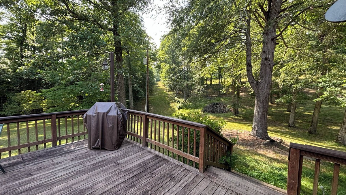 Flatgap Other | Secluded Appalachian Paradise