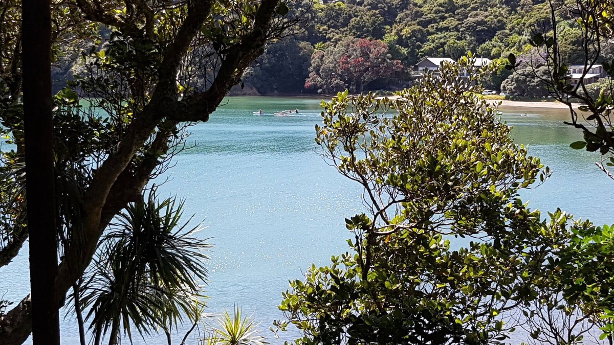 Tutukaka Cabin | Secluded Bach Hut by the beach
