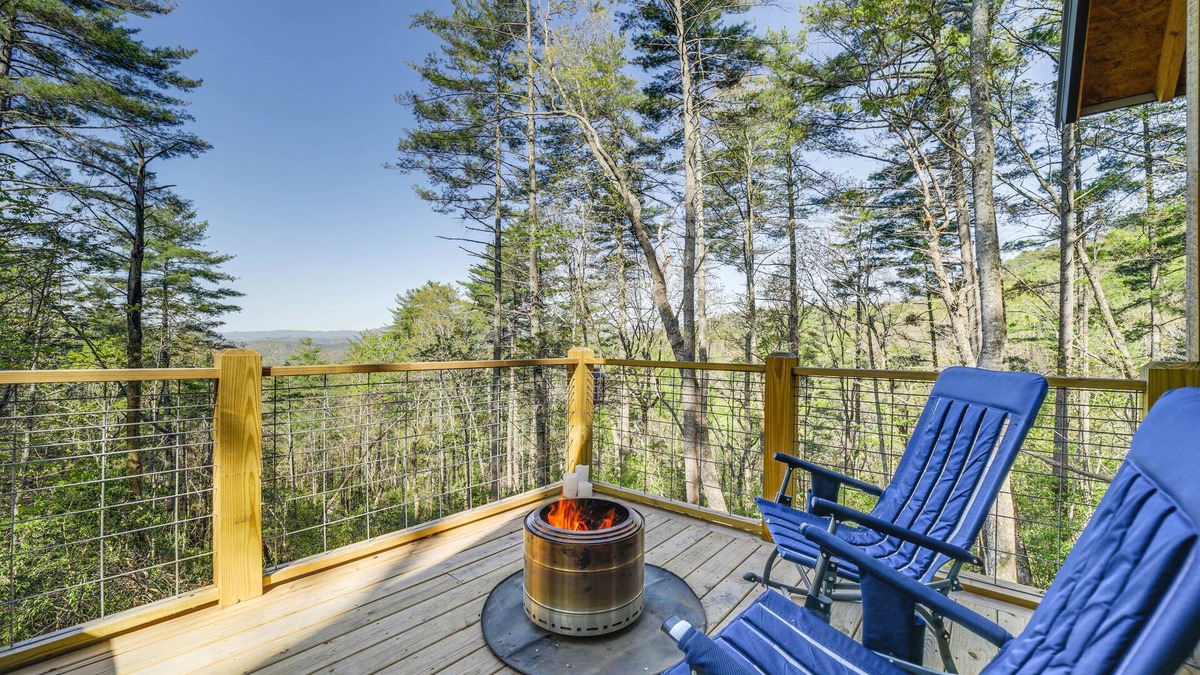 Brevard Cabin | Secluded Brevard Cabin w/Private Waterfall!