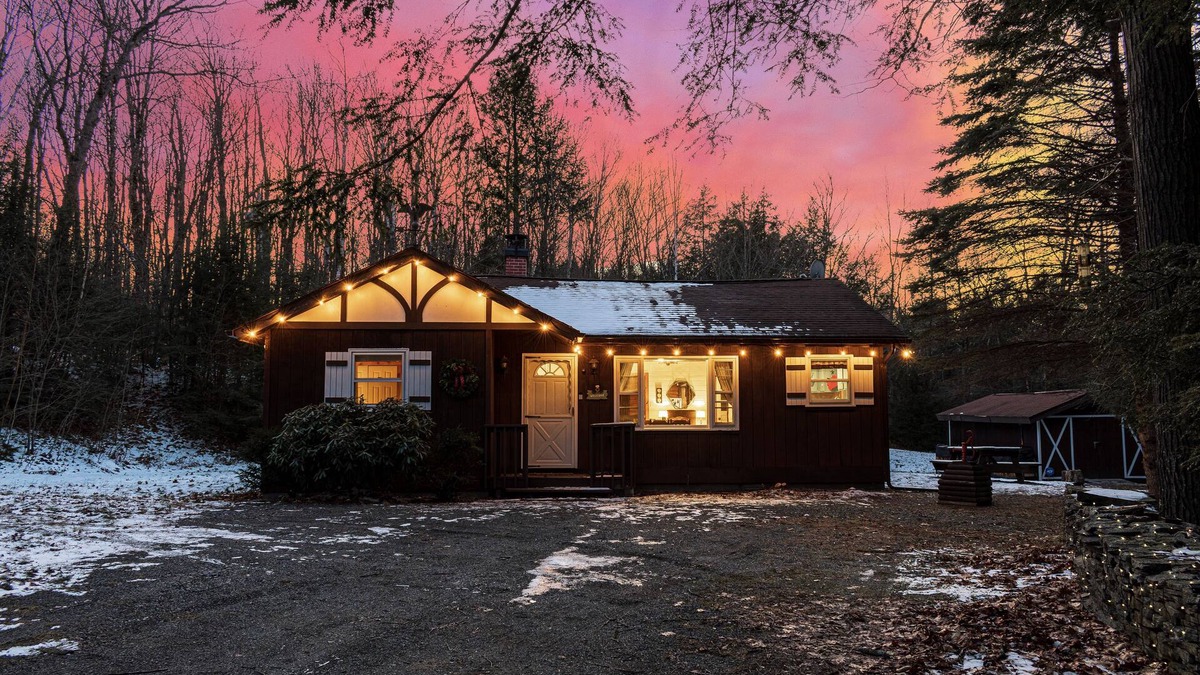 Town of Broome Cabin | Secluded Cabin 30 mins from Windham with King Bed, Game Room, Fireplace, Firepit