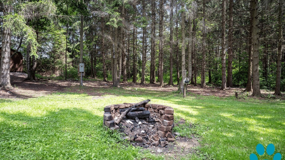 Scottsburg Cabin | Secluded Cabin, 7ac, Pets, Fire Pit, Wine & Parks
