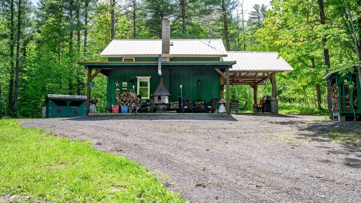 Dansville Cabin | Secluded Cabin near State Land
