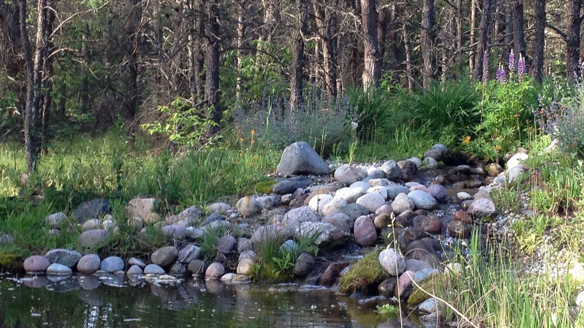 Lewiston House | Secluded cabin on 20 acres in the heart of a pine forest