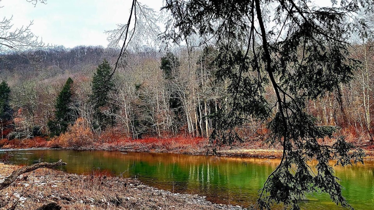 Ringgold Cabin | Secluded Cabin overlooking the Redbank River between Brookville & New Bethlehem