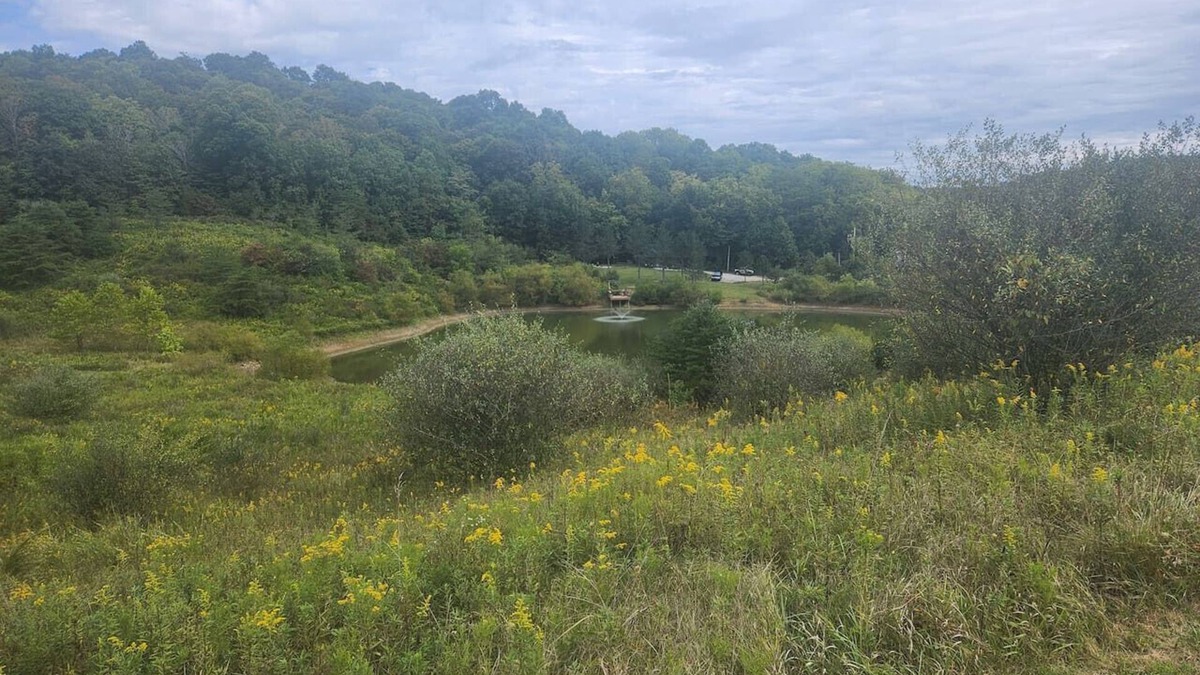 Carbon Hill Cabin | Secluded Cabin near Hocking Hills with Stocked Pond/Hot Tub on 40 acres