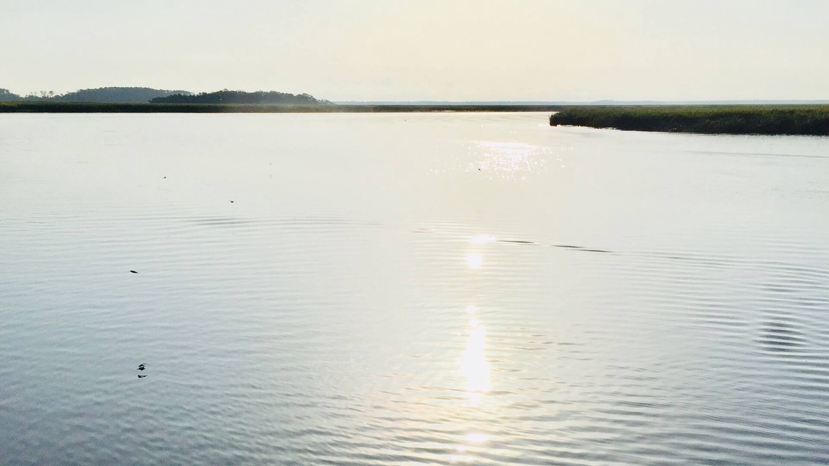 Sapelo Island Cottage | Secluded cottage on beautiful Sapelo Island