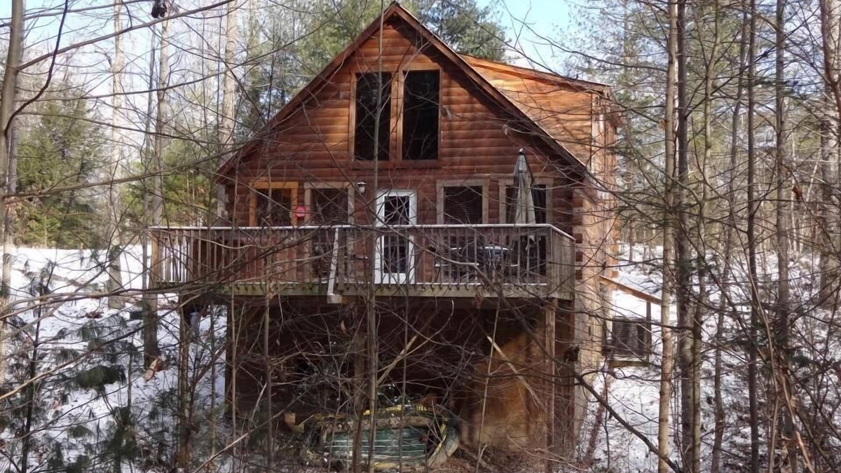 Rogers Cabin | Secluded, Cozy Cabin with Hot Tub in a heavily forested setting. Great Location.