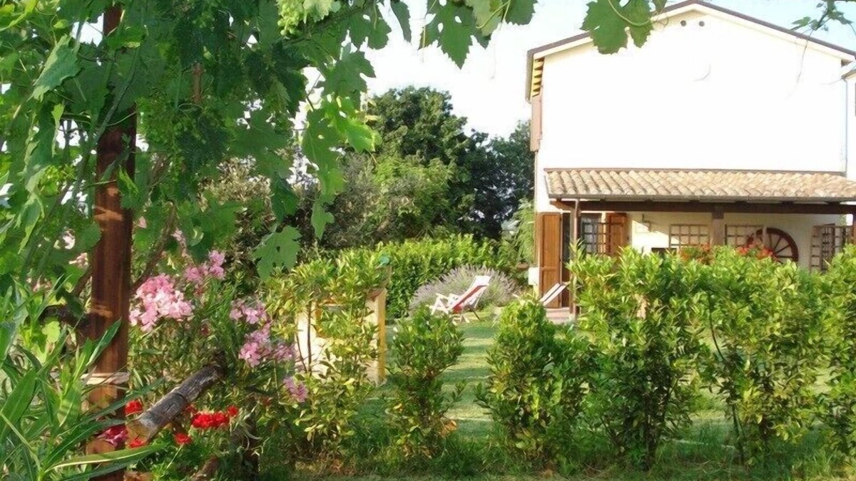 Montalto delle Marche House | Secluded house in a stunning, peaceful panorama complex on the vineyard, pool