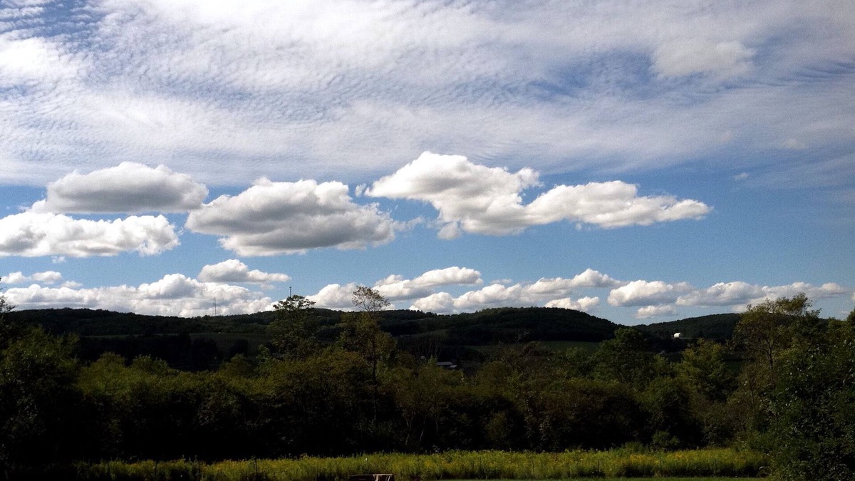 Hartwick Cabin | Secluded Hillside Property with Valley Views and Fishing Pond