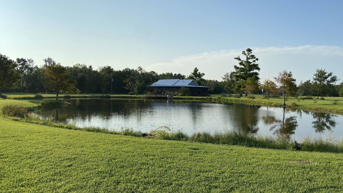 Creole Cabin | Secluded Lodge, Stocked Pond, Huge Ice Maker, Green Egg & Minutes From Launch