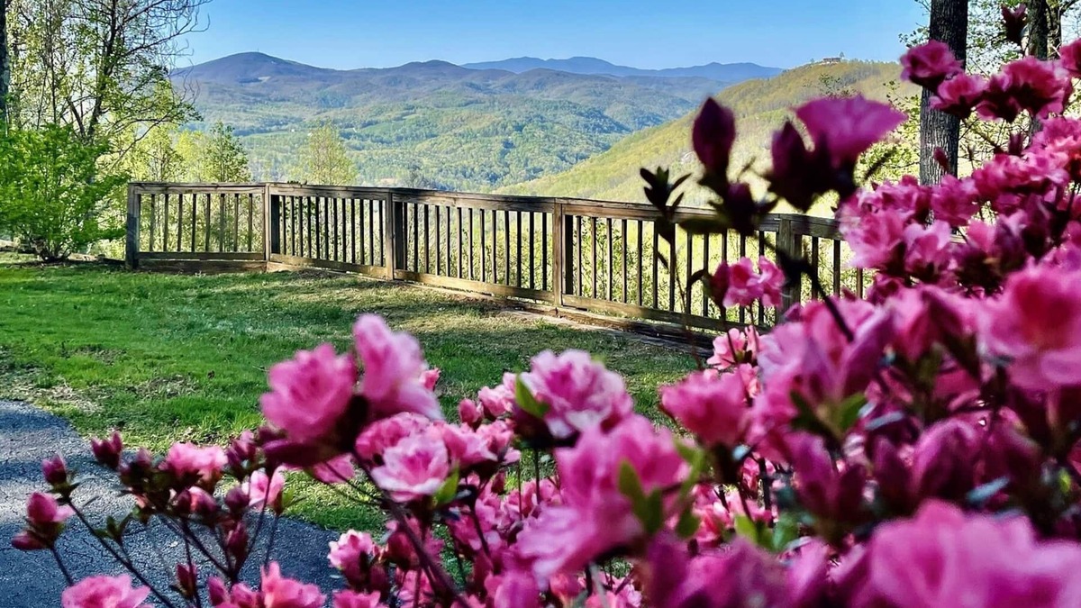Hendersonville Cabin | Secluded Log Cabin near PointLook Out Winery