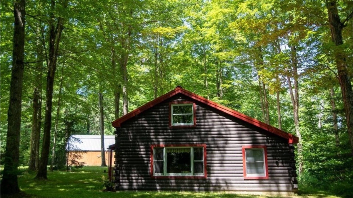 Avoca Cabin | Secluded Log Cabin with walking trails in Howard NY -New in 2023-