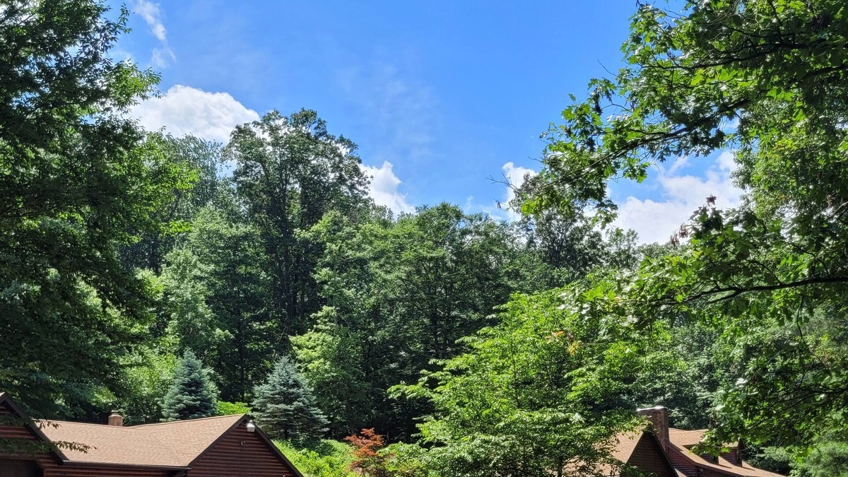 Birdsboro House | Secluded Log home in a very peaceful setting.