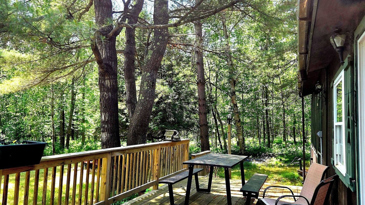 North Pole Cabin | Secluded & quiet, close to town. Stone fireplace inside & a firepit out back