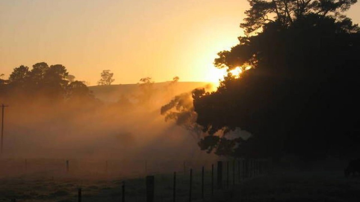 Bundanoon Apartment | SECLUDED, QUIET, PRIVATE "FERNDALE" B&B Farm Stay n5mins to BUNDANOON or EXETER