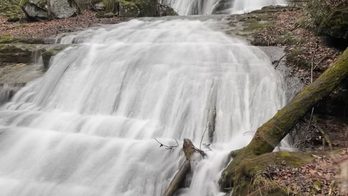 South Fork House | Secluded Retreat- Endless Mtn Views, Rushing Stream, Waterfalls- Sleeps up to 18