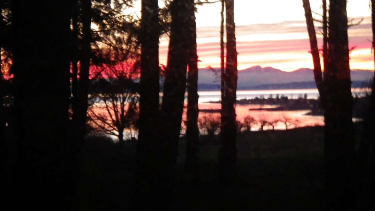 Point Roberts Cottage | Secluded Sea View Cottage By Lily Point Marine Park Beach