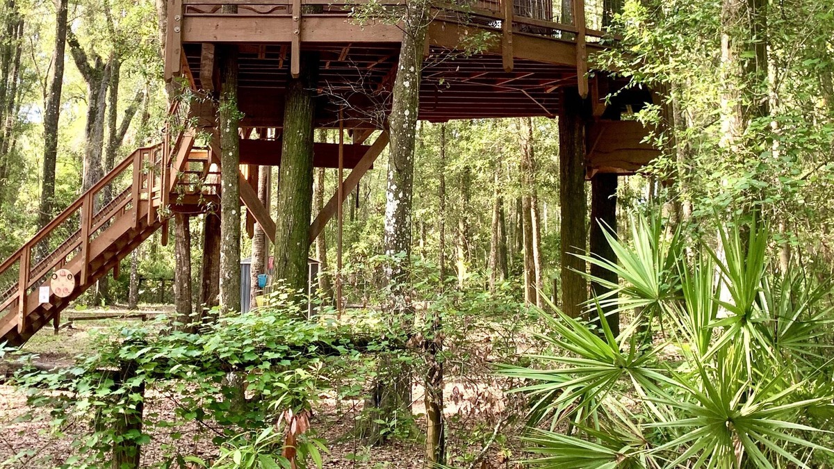 Old Town Cabin | Secluded Treehouse Cabin Retreat near the Suwannee River and freshwater springs!