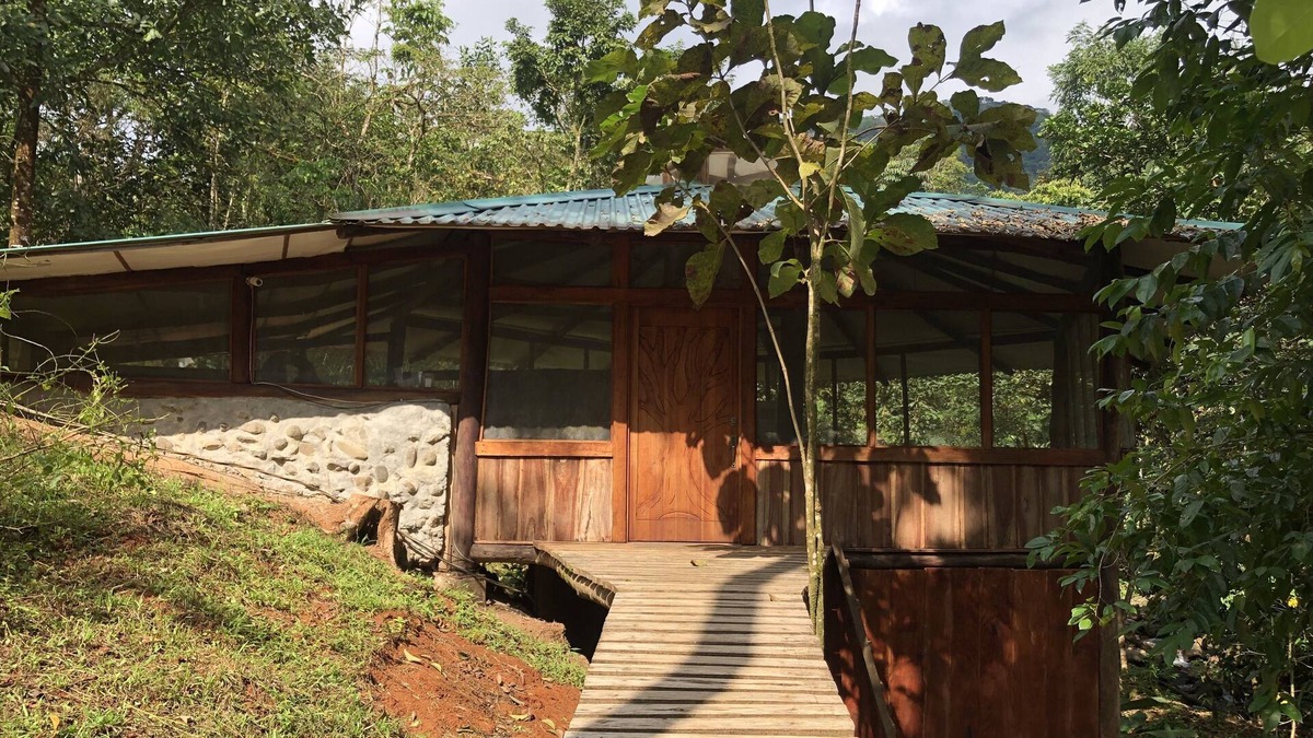 Surubres House | Secluded Treehouse in the the Rainforest