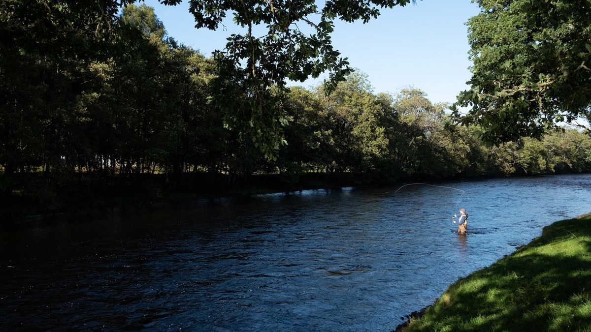 Cannich Cabin | Secluded woodland cottage on the banks of a pristine Highland river