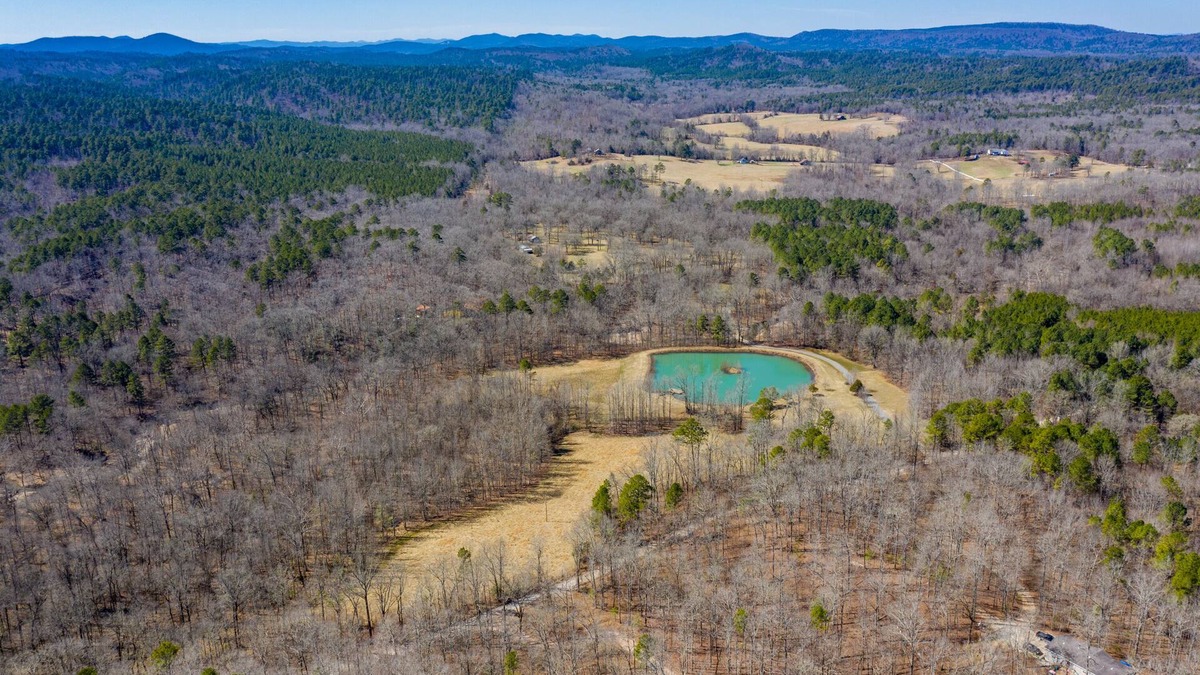 Bonnerdale House | Secluded Woodsy Luxury Hm 40 PRIVATE gated Acres, Pond, Hot Springs Mount Ida