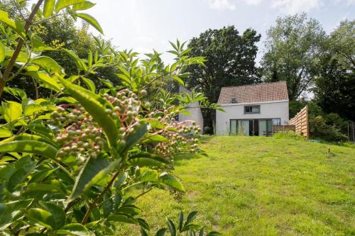 Melle Villa | Secret garden