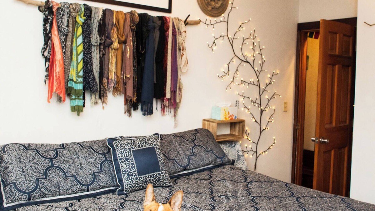 South End Apartment | Secret Garden in the south end, amazing location!