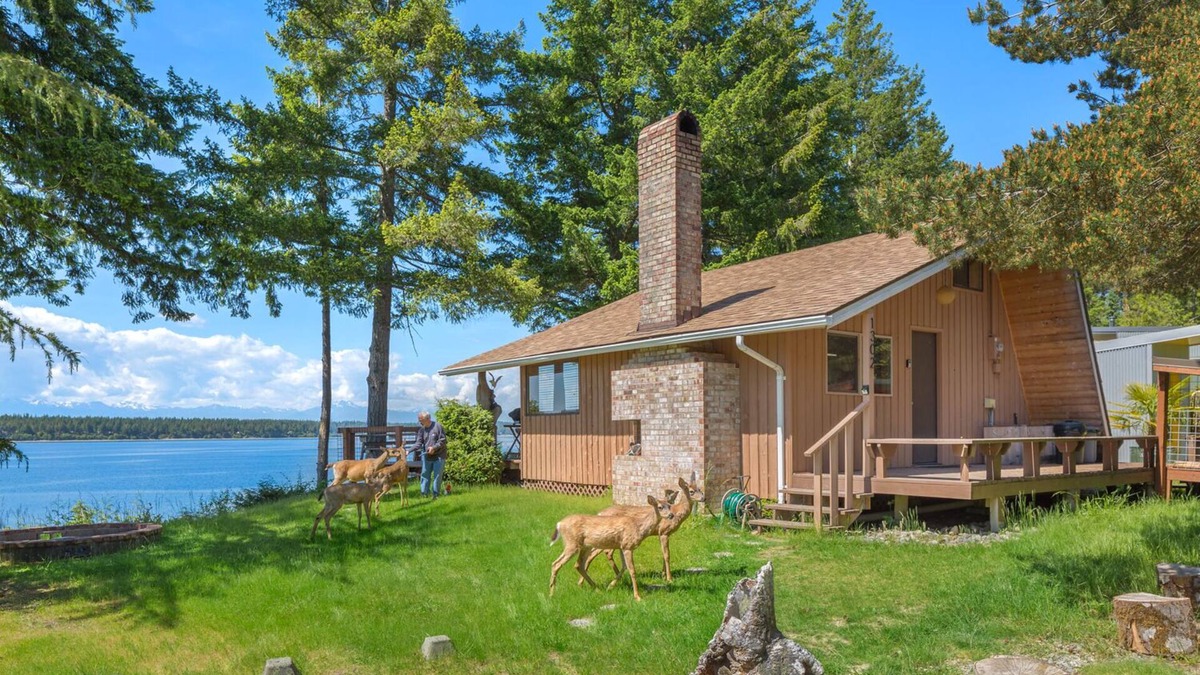 Lakebay Cabin | Secret Island Beachfront Escape. Hot Tub, Kayaks, Paddle Boards, Sunsets,
