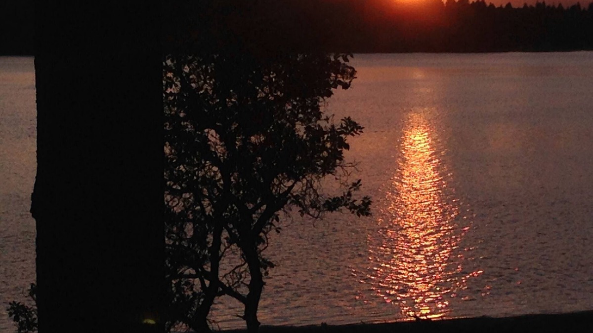 Lakebay House | Secret Island Getaway- Private Beach, Boats, Kayaks & guest only Seafood Farm
