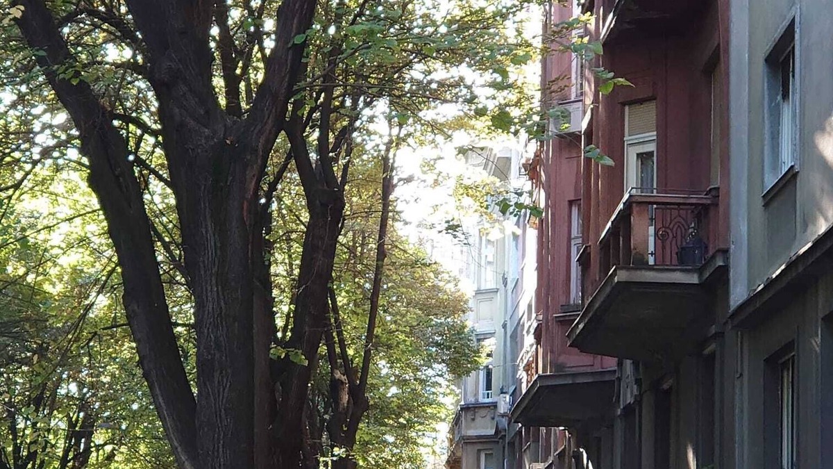 Dorcol Apartment | Secret Space