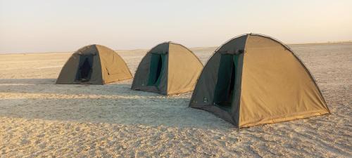 Nata Other | Sedudu Tours & Safaris