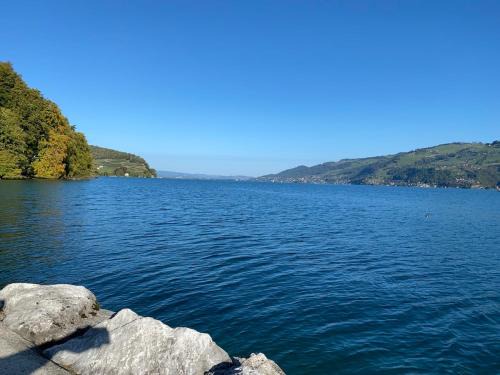 Faulensee Apartment | See und Berge Simply, ohne Dusche