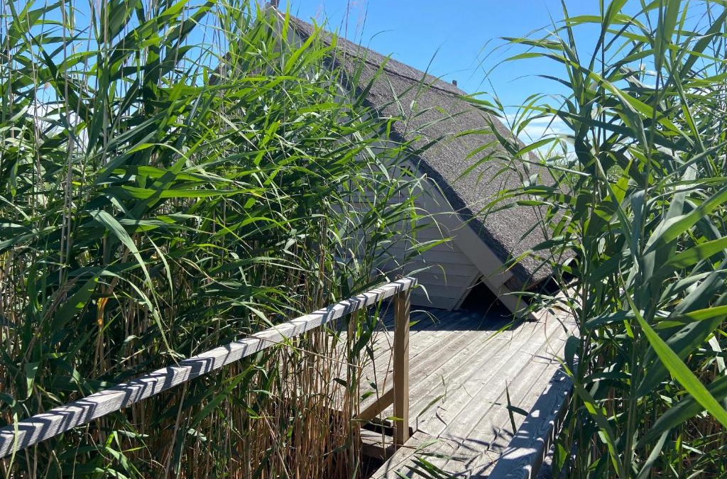 Rust House | Seehütte Neusiedlersee - Waterfront 2