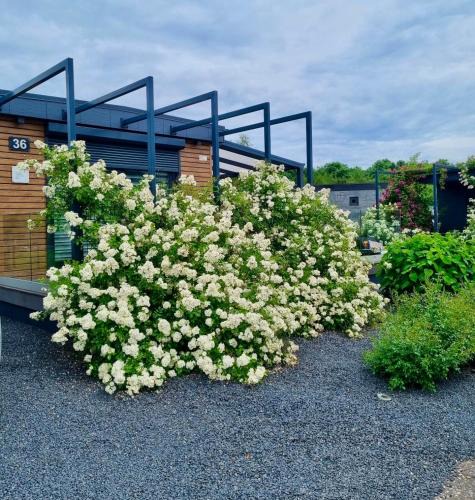 Goch House | Seepark Cox