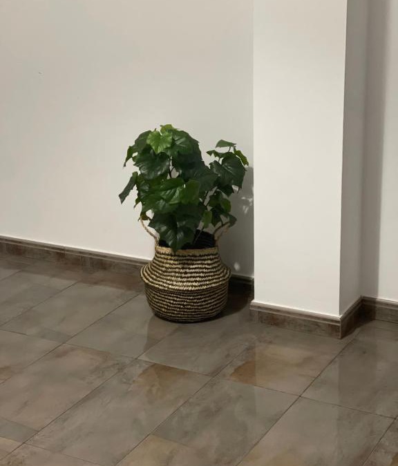 Pozo Izquierda Apartment | Seifía 2A