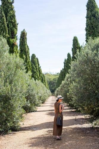 Alignan-du-Vent Bed & Breakfast | Seigneurie de Peyrat