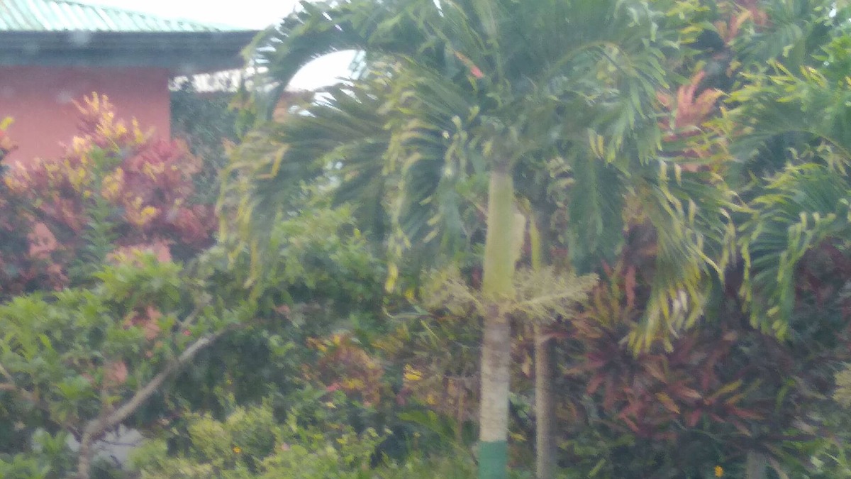 Mandeville Bed & Breakfast | Sekhmet Healing Retreat