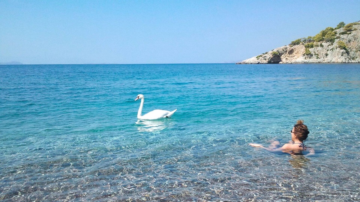 Psatha Villa | Self-catering Beach Studios in front of the sea Only 1h From Athens