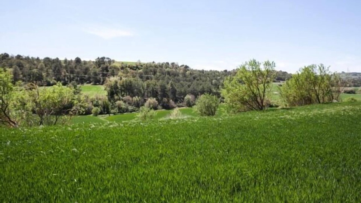 La Cirera Cottage | Self catering Can Pinyol for 2 people