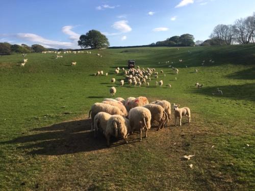 Talsarnau House | Self Catering Cottage