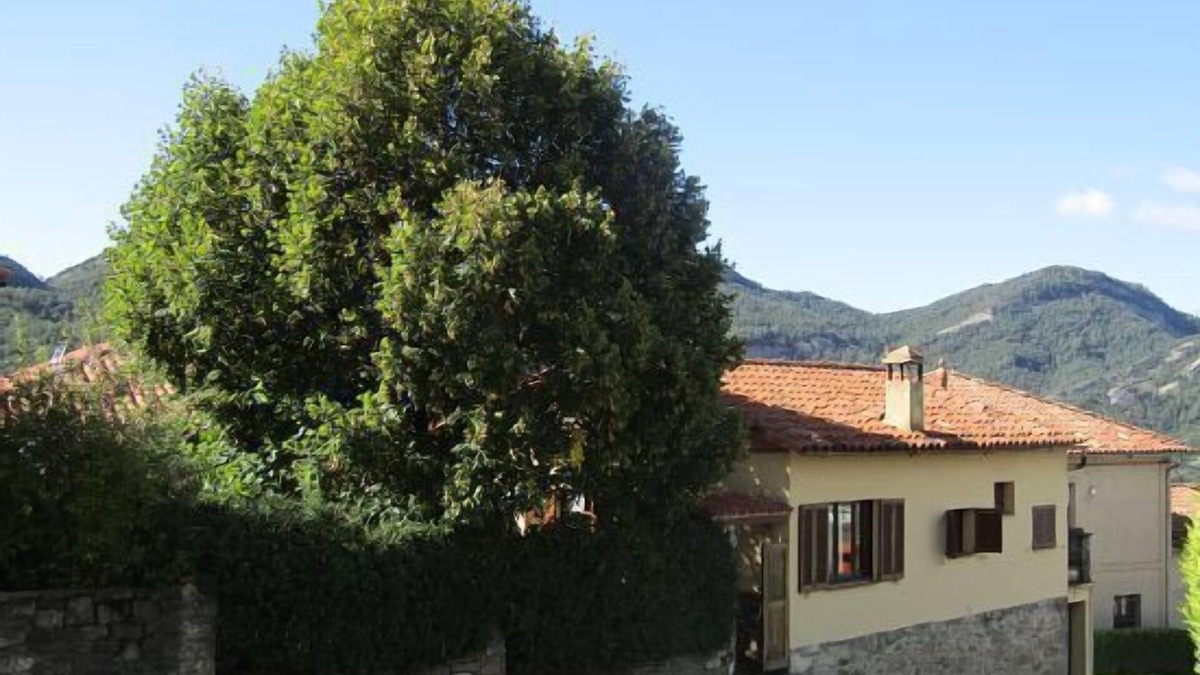 Borreda Cottage | Self catering El Jardinet for 5 people