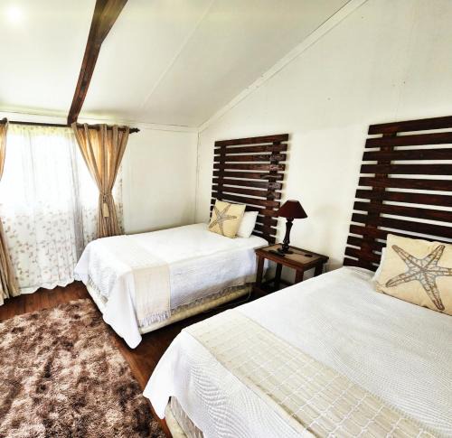 Kestell Apartment | Self-catering Unit 6