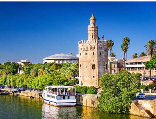 Coria del Rio House | Selva House Sevilla